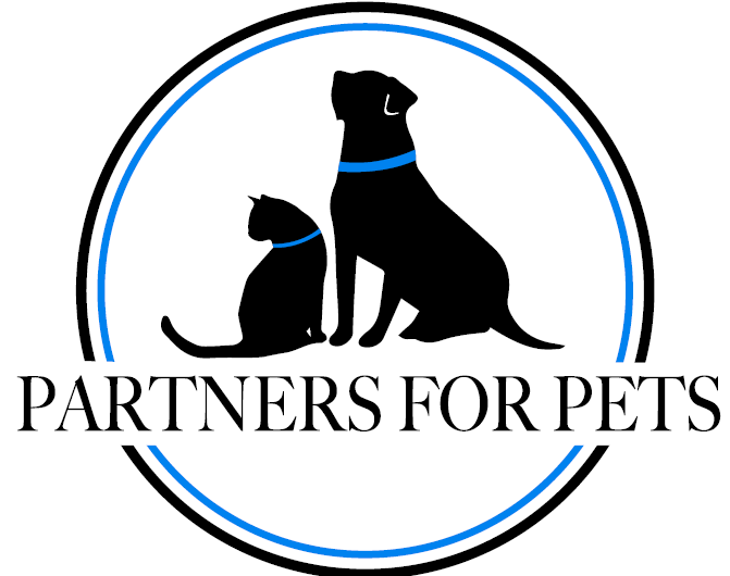 Local Businesses Central Alabama Deals